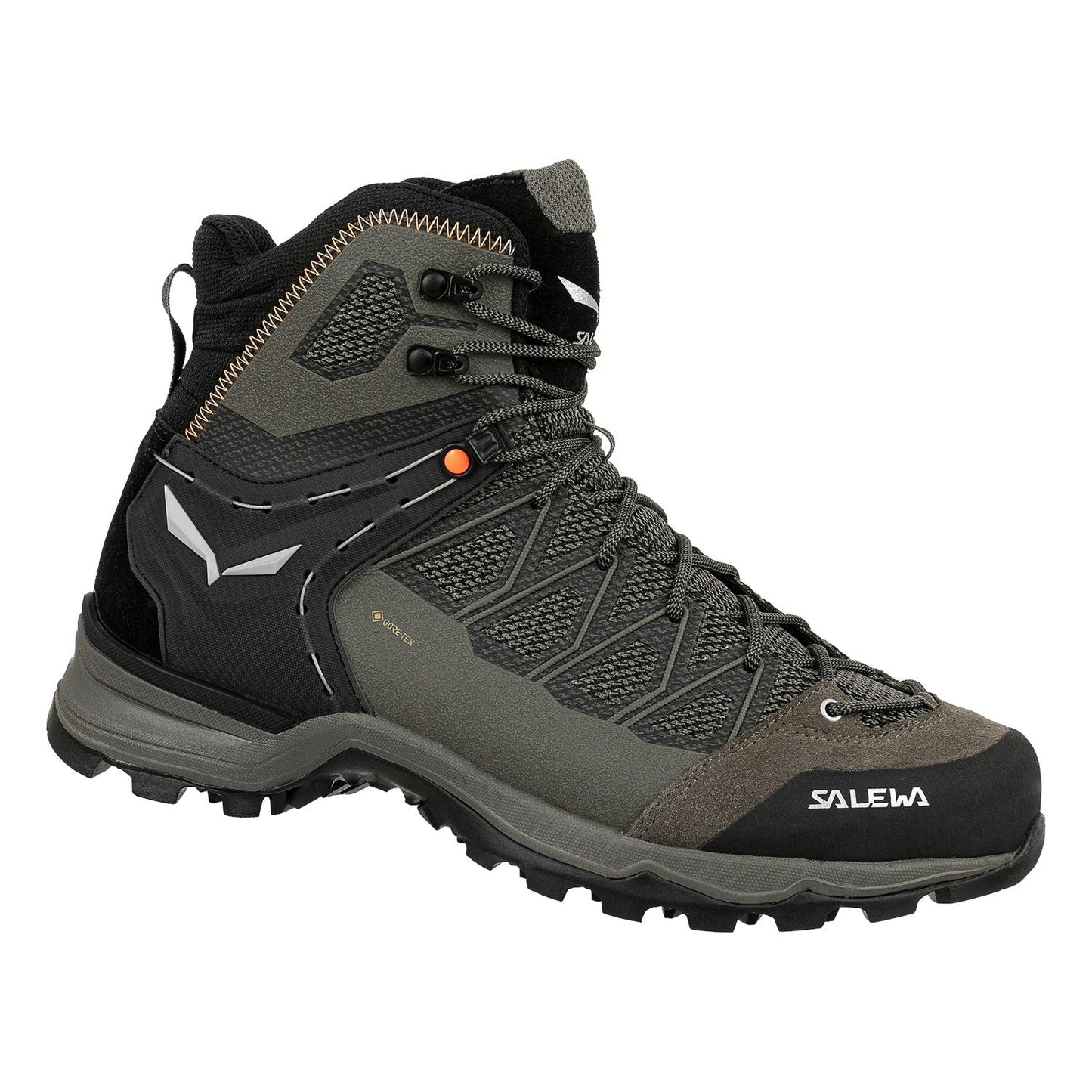 Salewa Mountain Trainer Lite Mid GTX Shoe