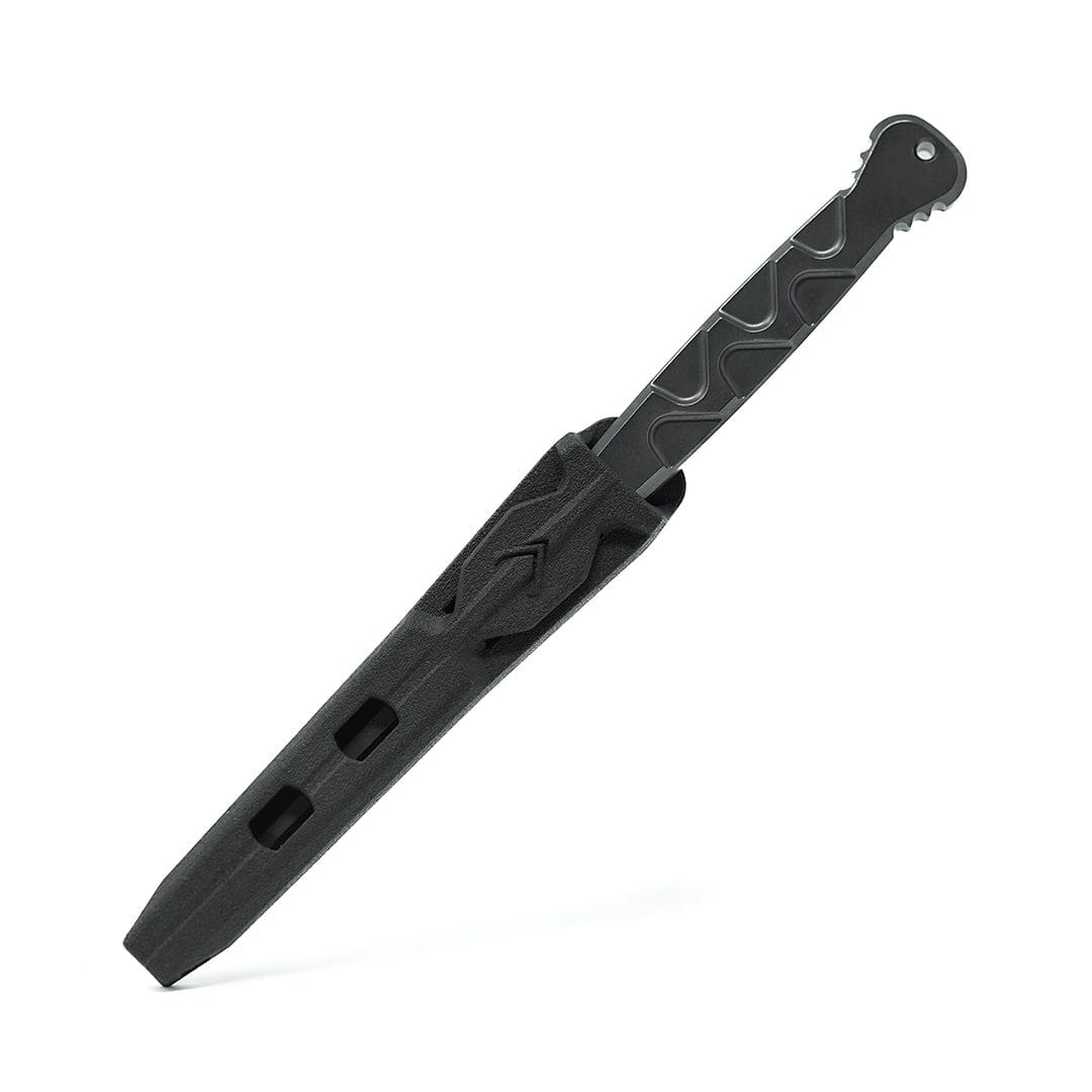 Dynamis Alliance CFH-X