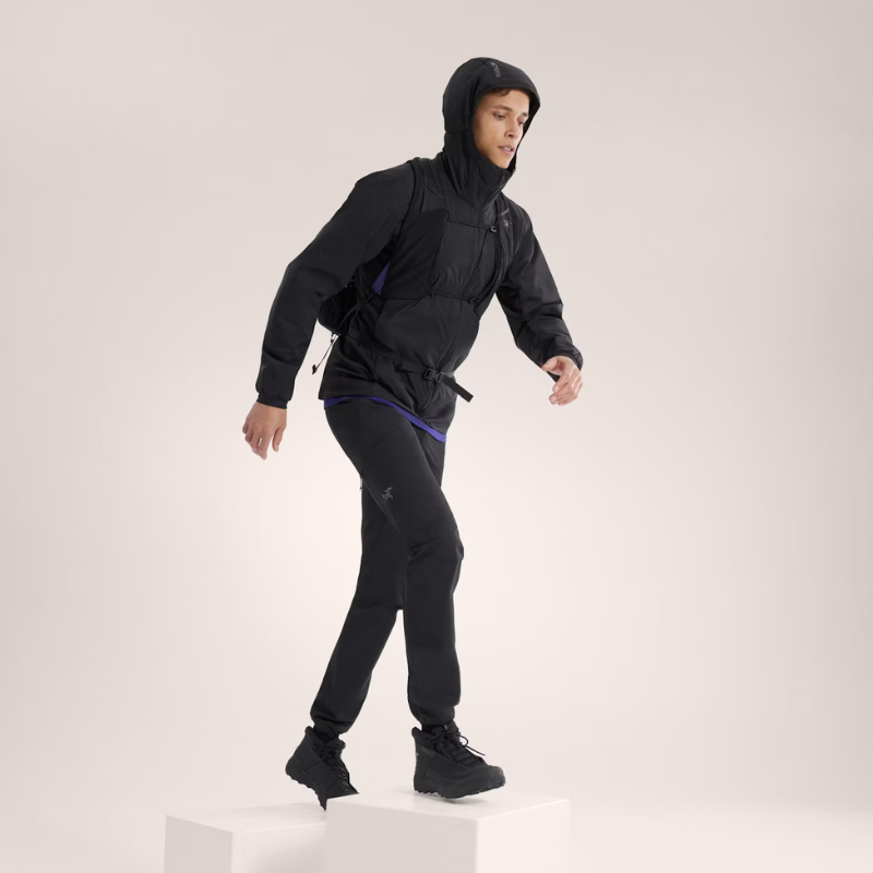 Arc'teryx Atom Hoody