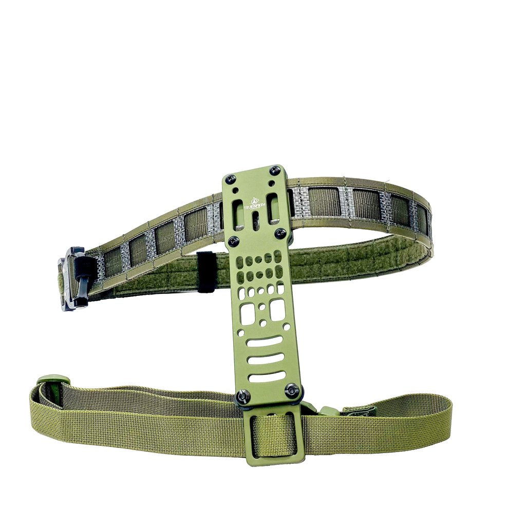 GBRS Group Assaulter Belt System v2